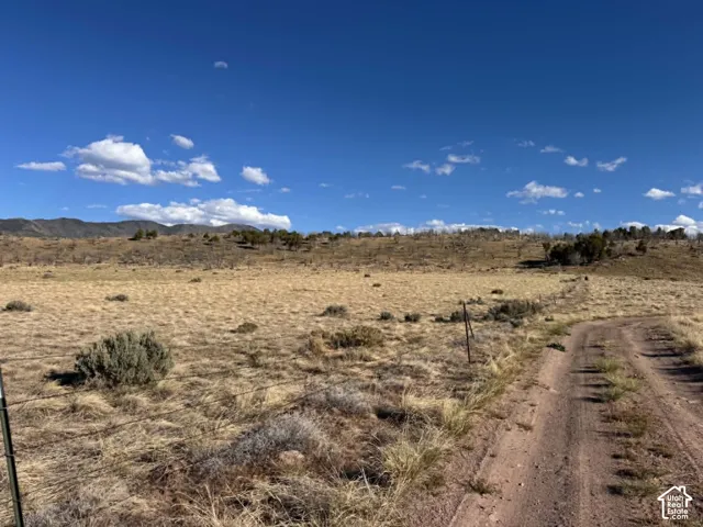 Looking south from the west boundary and road access point.