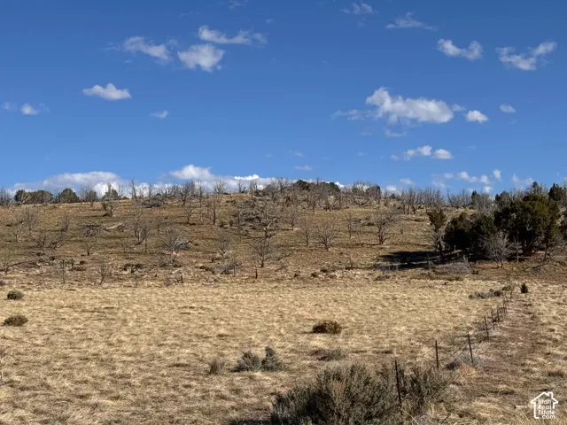 Hill on the south end of the property