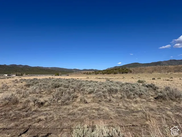 Looking southeast from the west boundary and road access point.