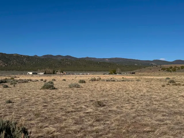 Looking east from the west boundary and road access point.
