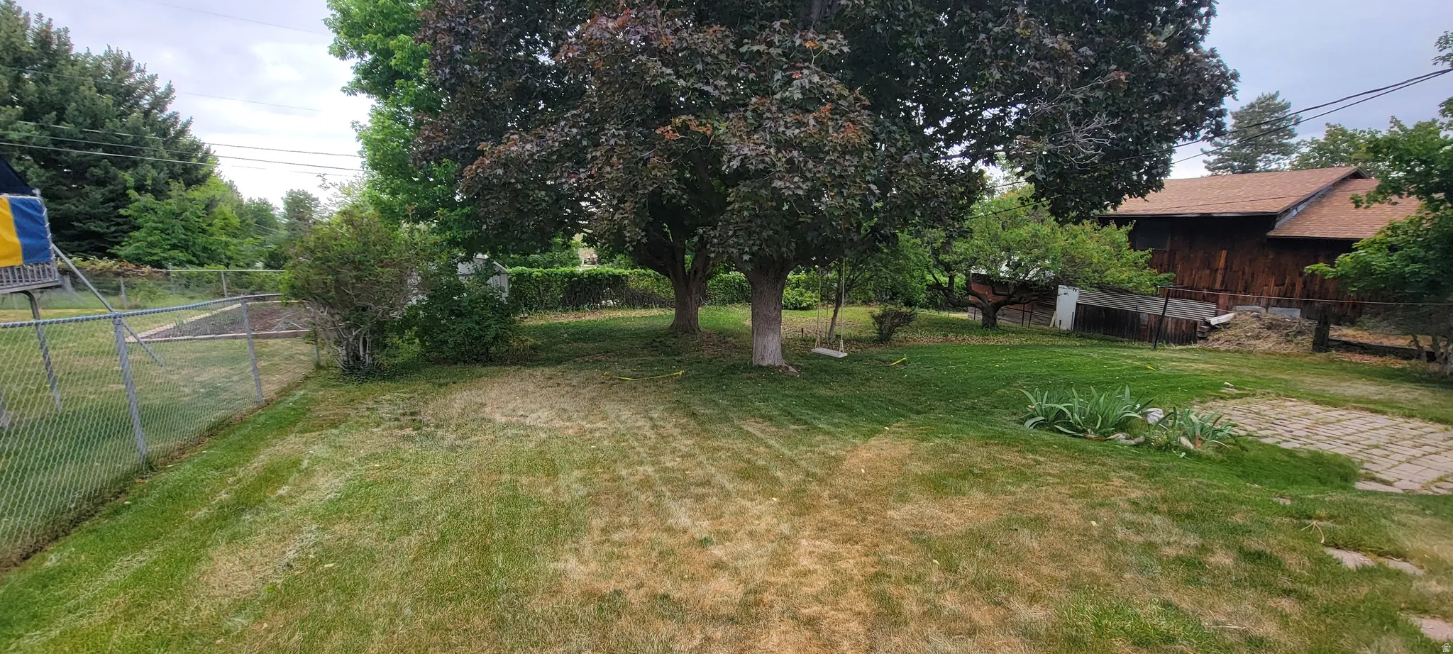 Expansive grassy yard featuring mature trees and a chain-link fence