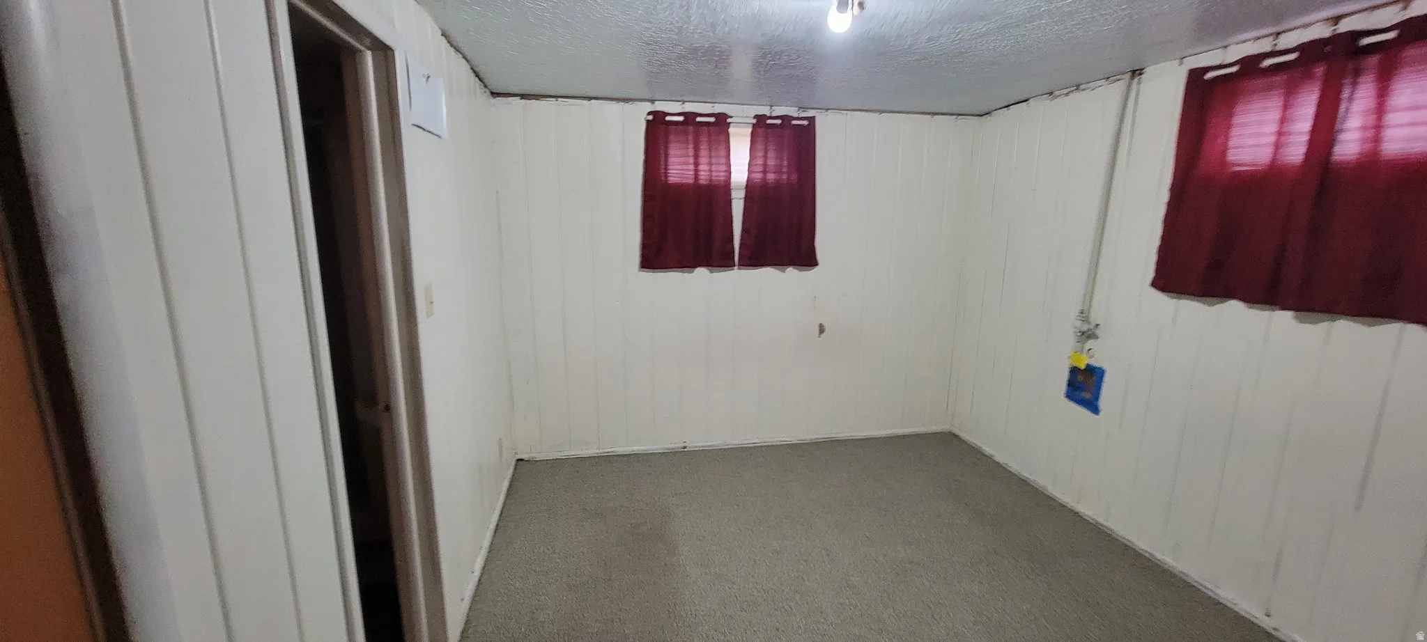 Room featuring wall paneling, carpet flooring, and two windows
