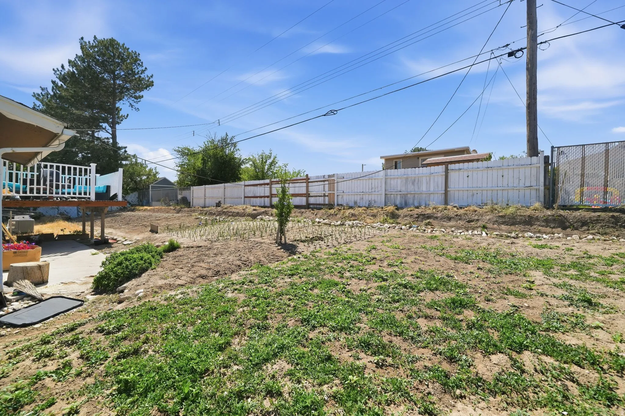 Expansive backyard featuring a multi-level deck with white railings, mature perimeter trees, and a variety of young plantings