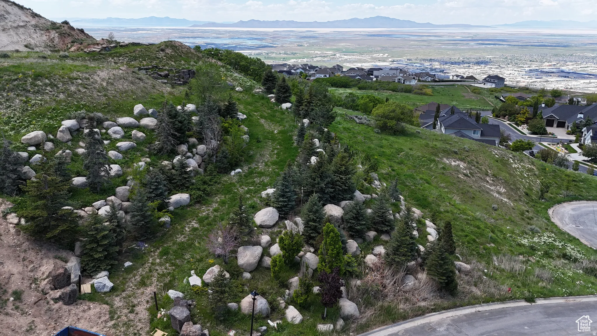 Expansive hillside terrain with established evergreen trees and natural rock formations