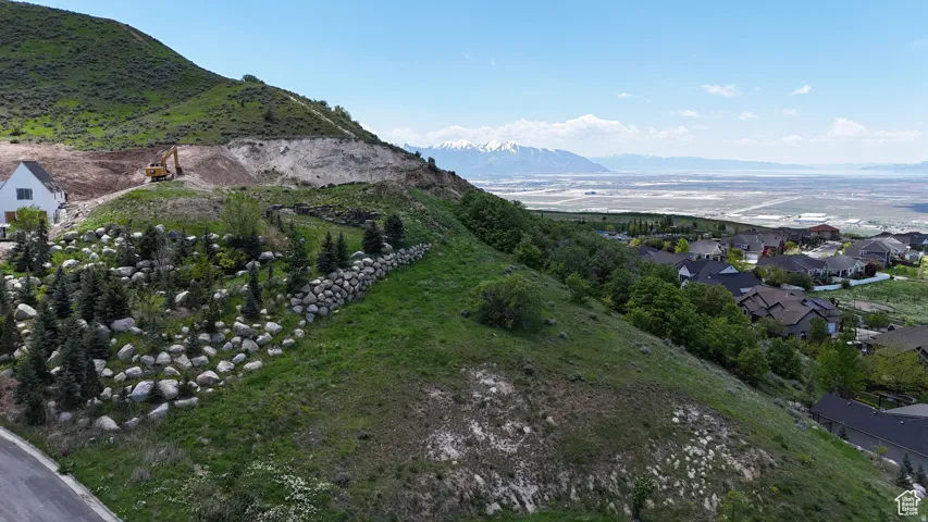 Expansive hillside property featuring established landscaping with varied rock work and mature evergreen trees