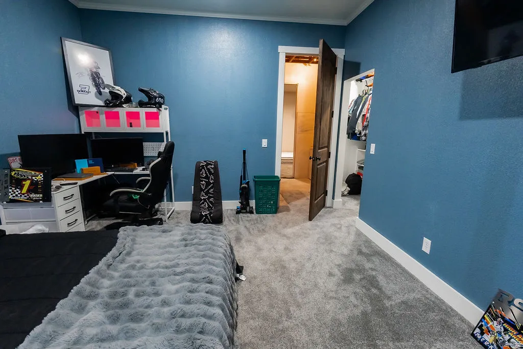 Plush grey carpeting and blue textured walls