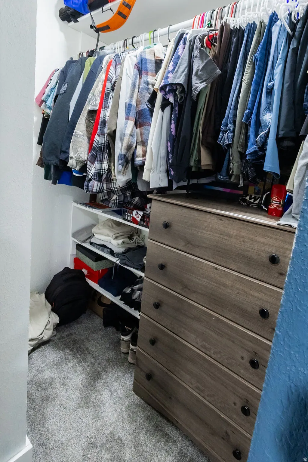 Carpeted closet interior featuring built-in shelving, a garment rod, and a wood-finish dresser with dark hardware