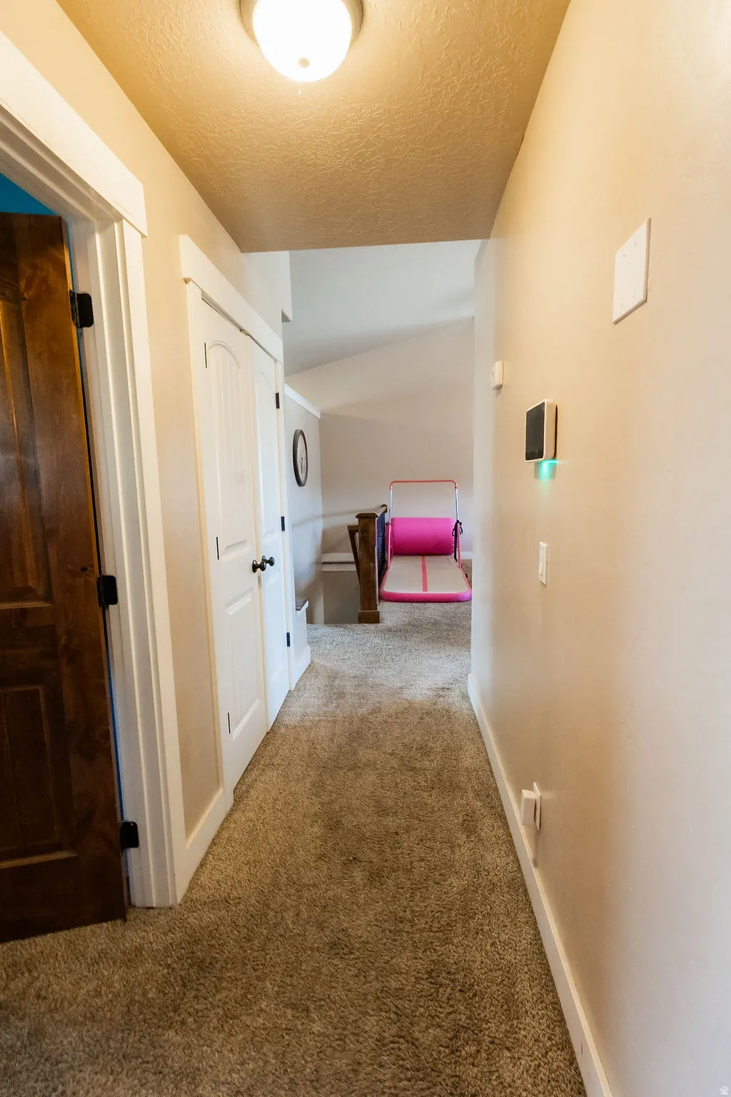 Carpeted hallway featuring a flush-mount ceiling light, paneled doors, and white trim