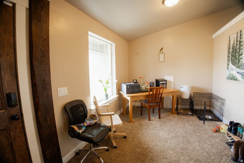 Neutral-toned room featuring a single window, recessed lighting, and carpeted flooring