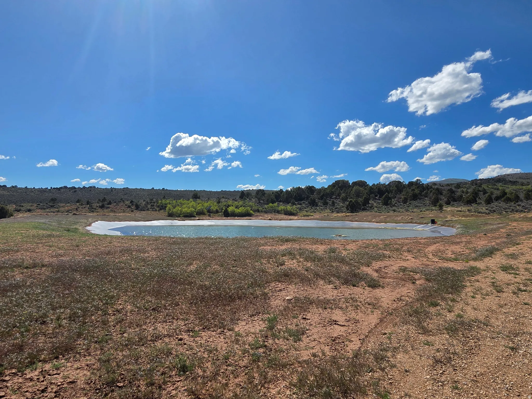 New fishing pond across the street!