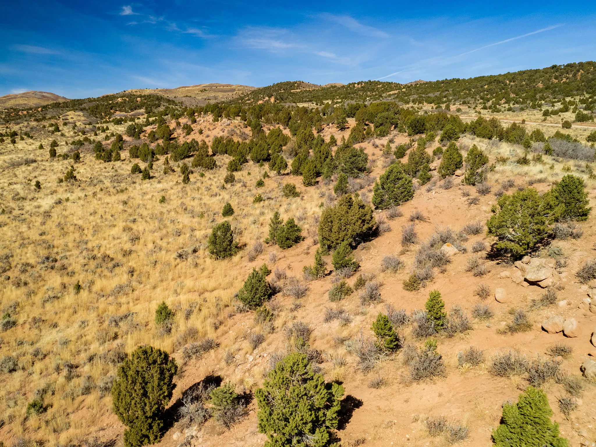 Beautiful Property Views of the Ranch!