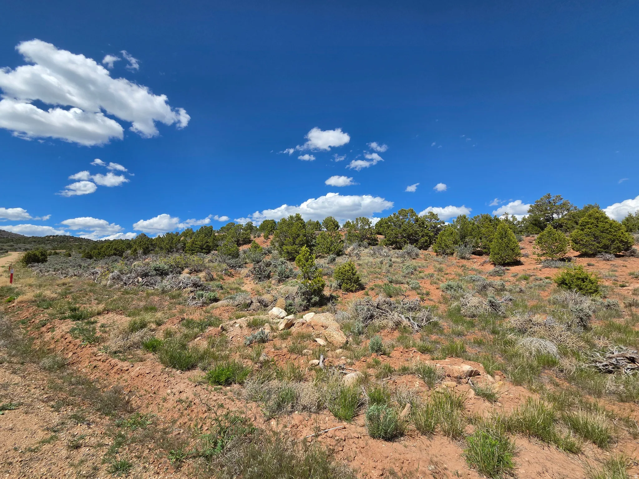 Lot 1 Beautiful Property Views - tons of trees, red rock & mountain surrounding!