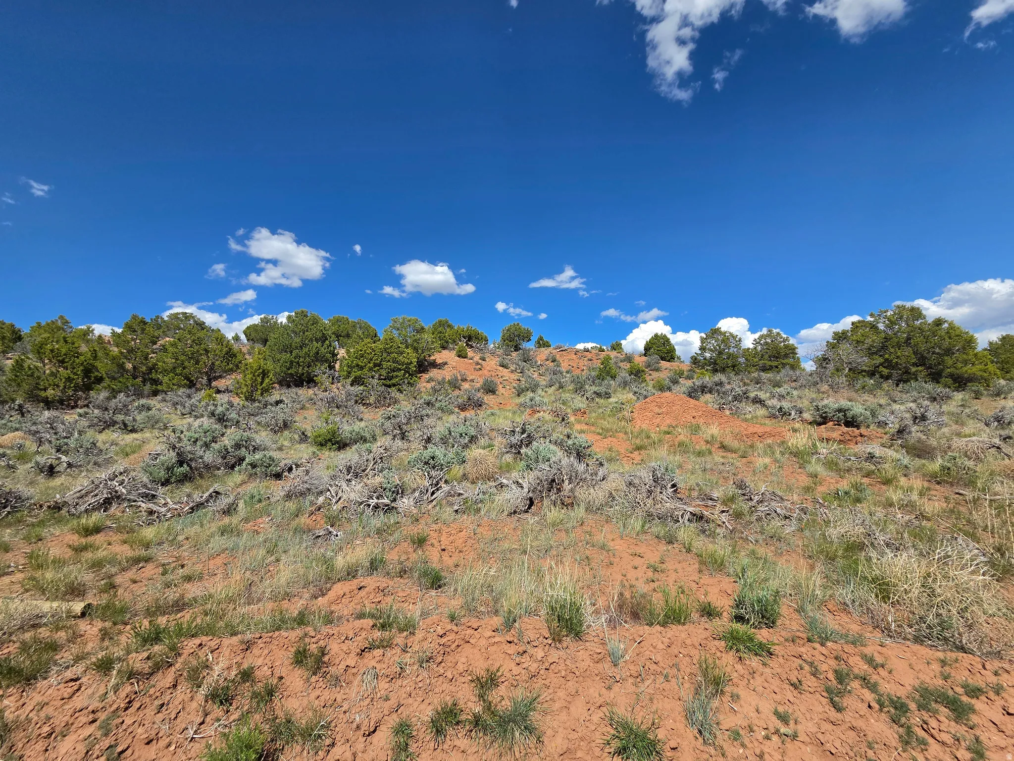 Lot 1 Beautiful Property Views - tons of trees, red rock & mountain surrounding!