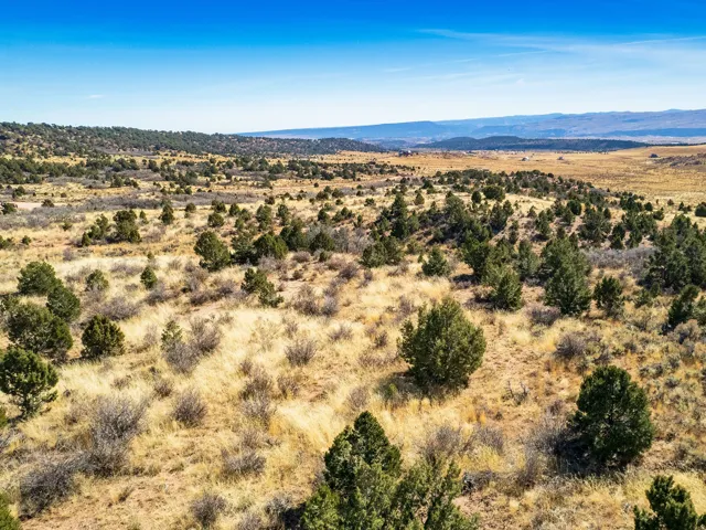 Beautiful Property Views of the Ranch!