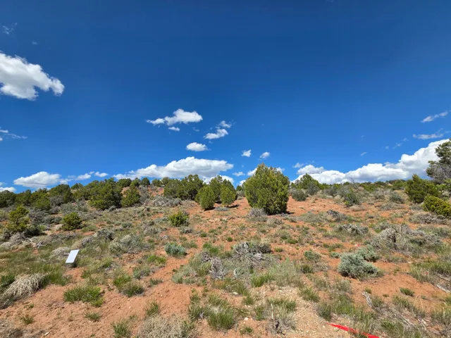 Lot 1 Beautiful Property Views - tons of trees, red rock & mountain surrounding!