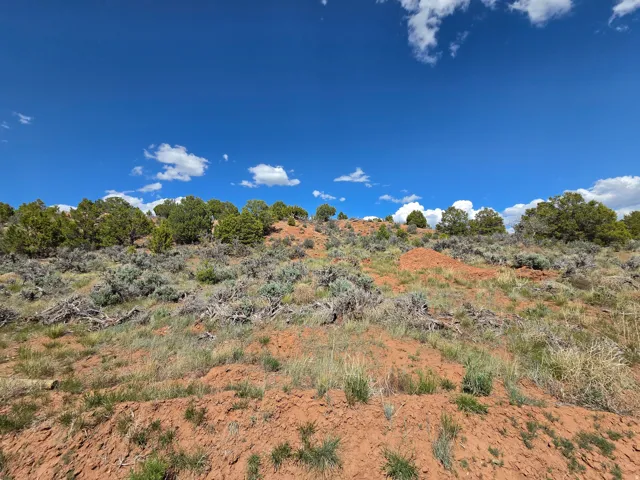 Lot 1 Beautiful Property Views - tons of trees, red rock & mountain surrounding!