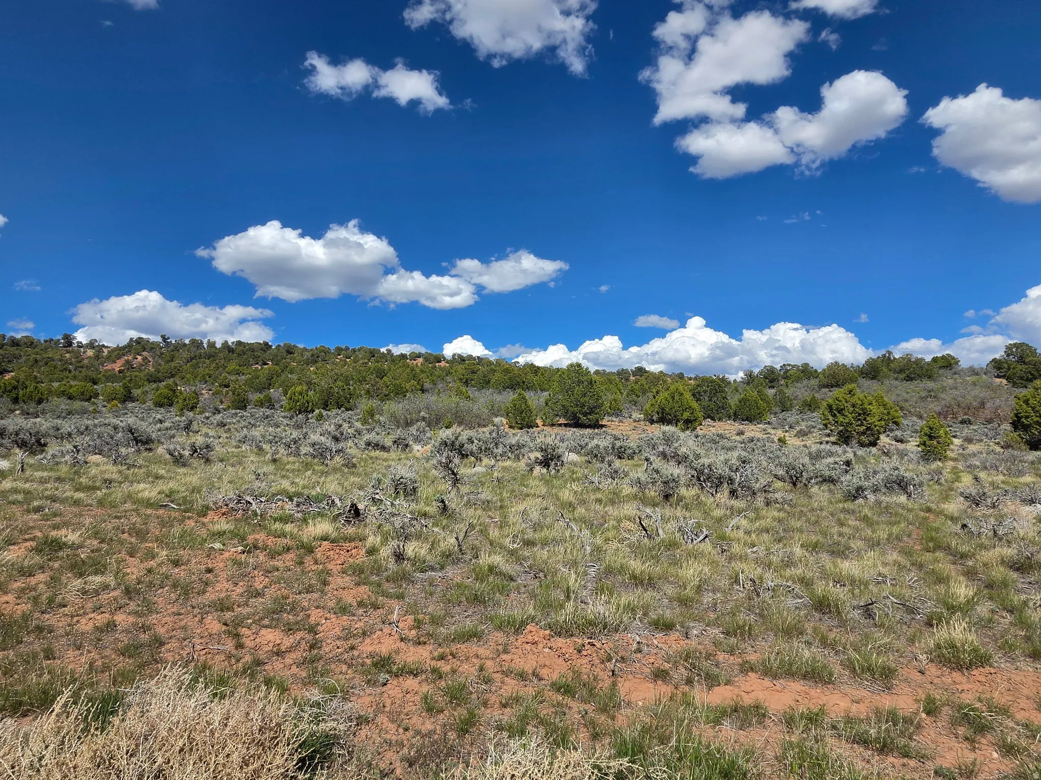 Lot 2 - AMAZING mountain surround with privacy -  corner lot! Tons of trees and great views!