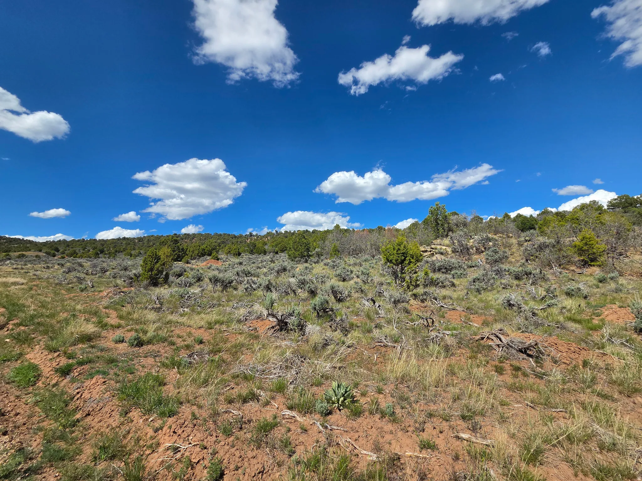 Lot 2 - AMAZING mountain surround with privacy -  corner lot! Tons of trees and great views!