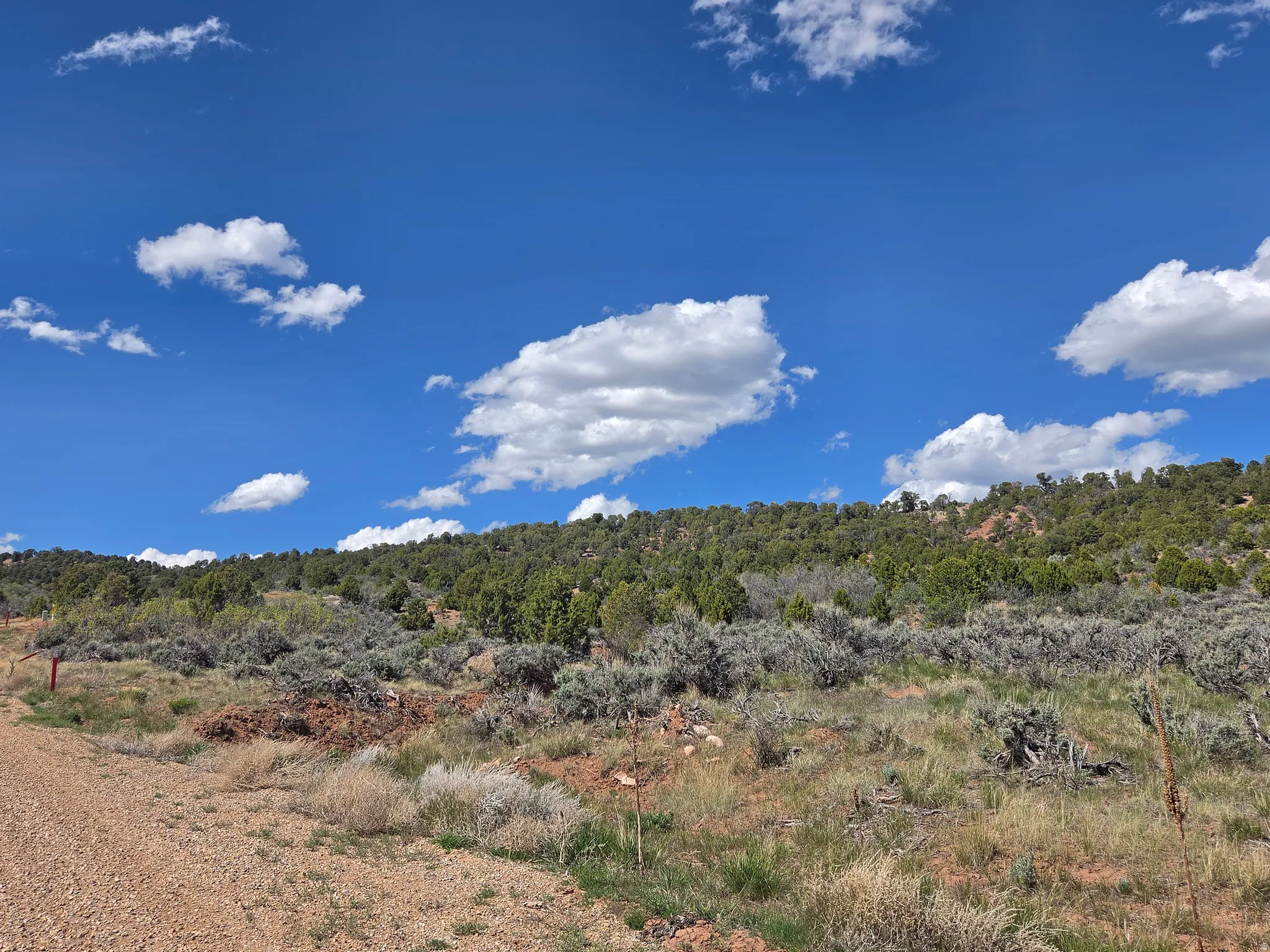 Lot 2 - AMAZING mountain surround with privacy -  corner lot! Tons of trees and great views!