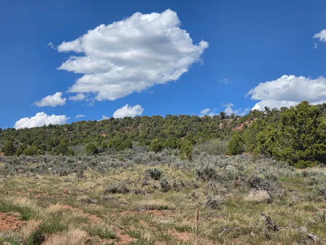 Lot 2 - AMAZING mountain surround with privacy -  corner lot! Tons of trees and great views!