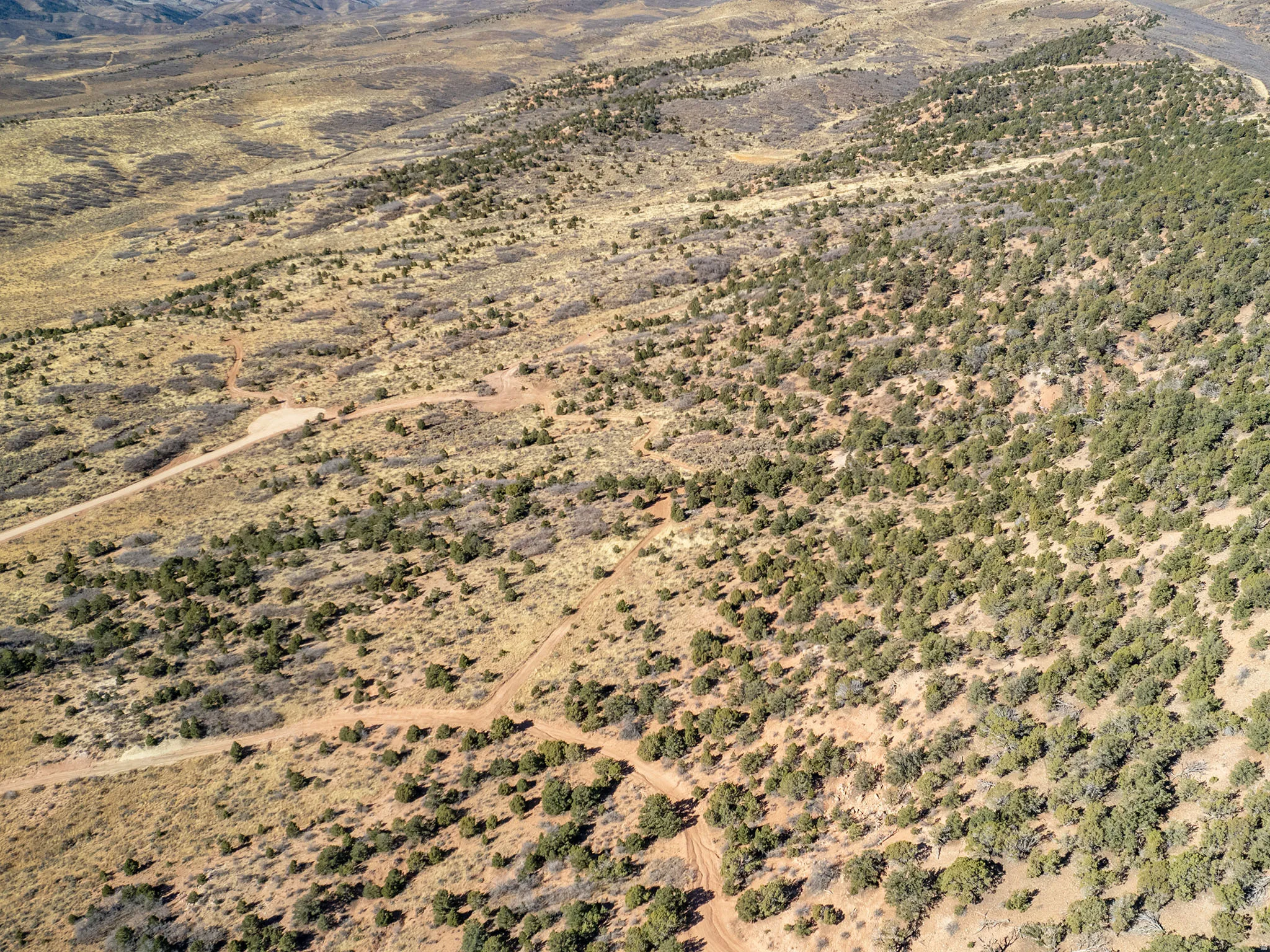Beautiful Property Views of the Ranch!