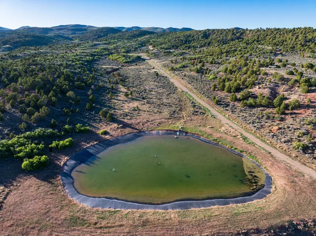 Fishing Pond