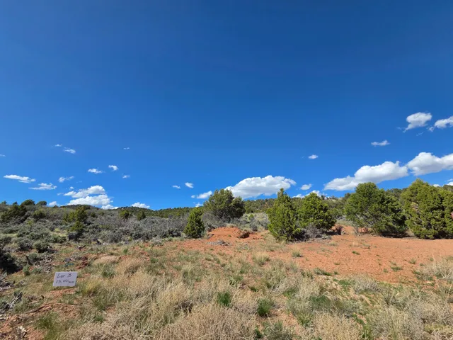 Corner Lot 3 - Stunning mountain views and surround! Private lot with a ton of trees!
