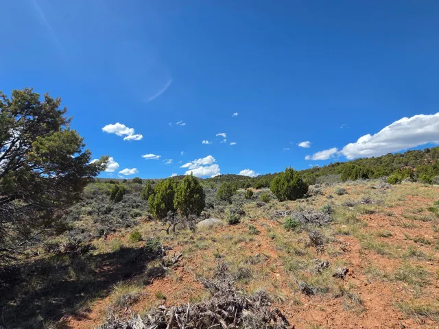 Corner Lot 3 - Stunning mountain views and surround! Private lot with a ton of trees!