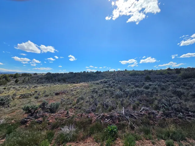 Amazing Lot 5 - Tons of green & trees! Amazing views all around!