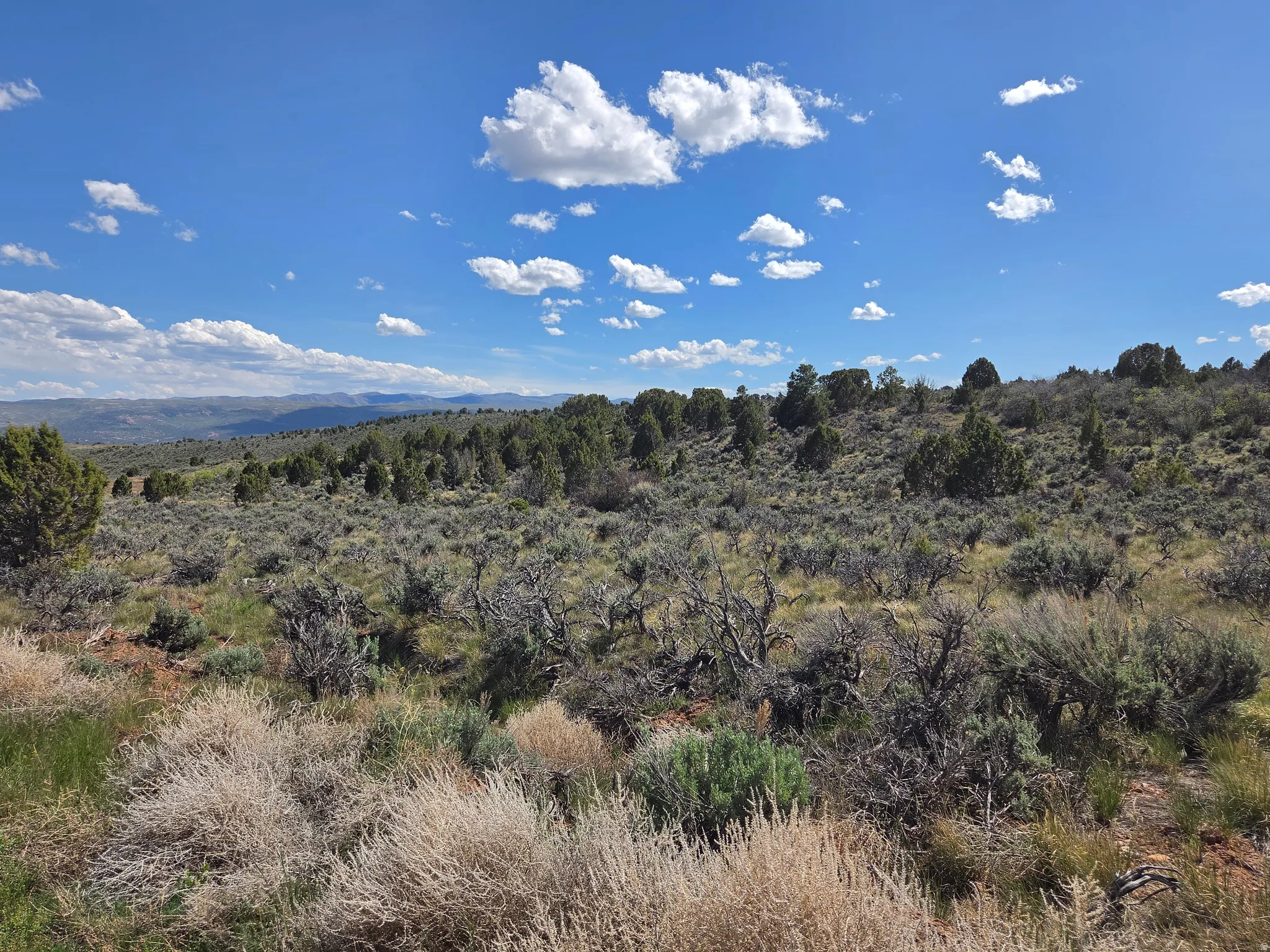 Stunning Lot 6! Mountain views all around with a new fish pond right next door! Tons of trees and green!