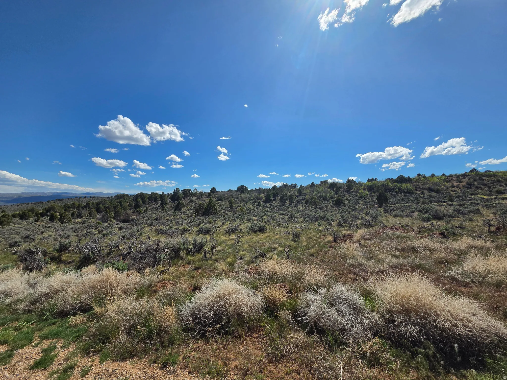 Stunning Lot 6! Mountain views all around with a new fish pond right next door! Tons of trees and green!