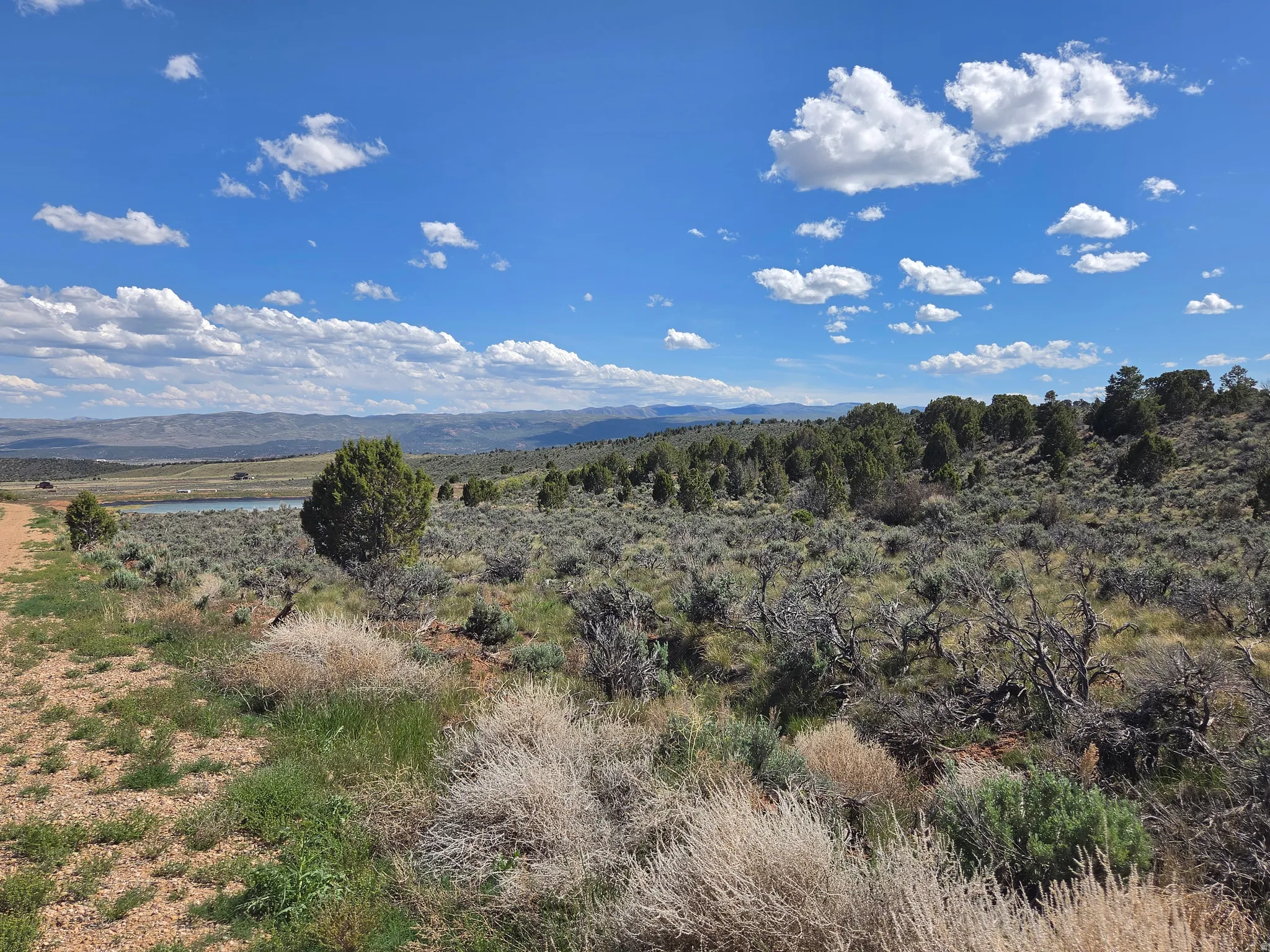 Stunning Lot 6! Mountain views all around with a new fish pond right next door! Tons of trees and green!
