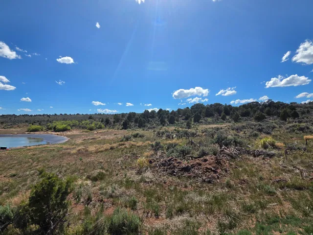 Stunning Lot 6! Mountain views all around with a new fish pond right next door! Tons of trees and green!