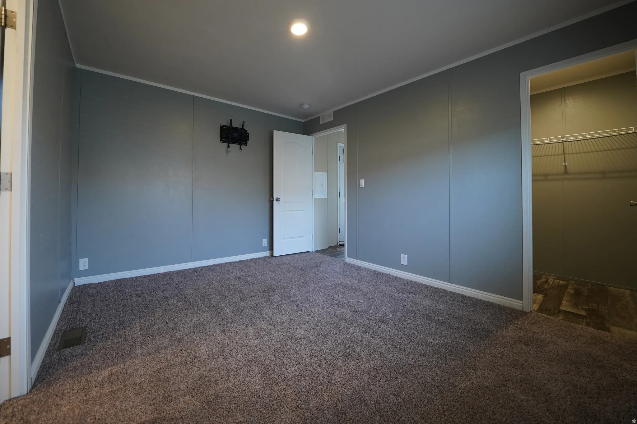 Primary Bedroom - Carpeted interior space featuring light grey paneled walls, white trim, and a flush-mount ceiling light