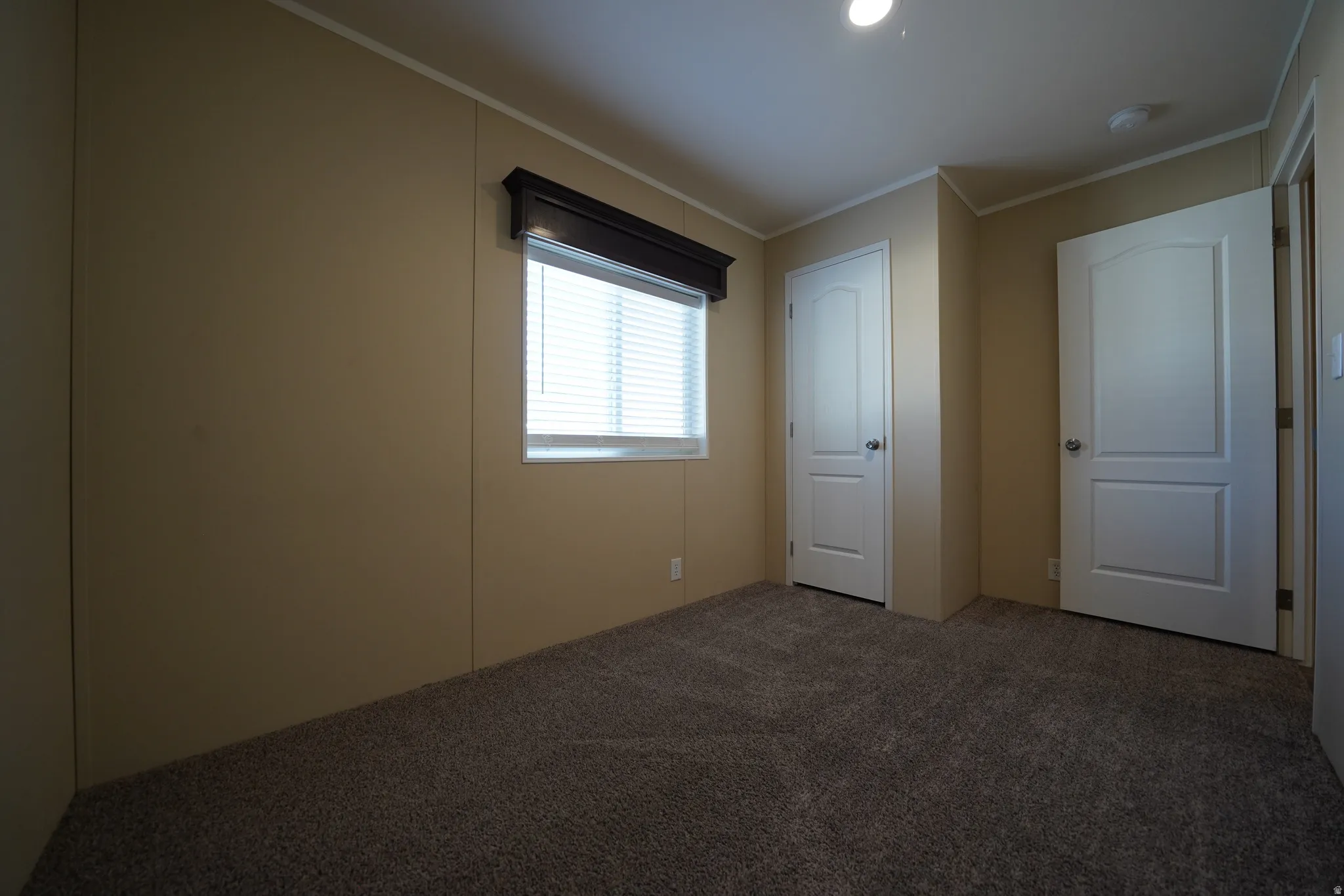 Bedroom 3 - Interior room featuring neutral wall paneling, textured carpet flooring, and white trim