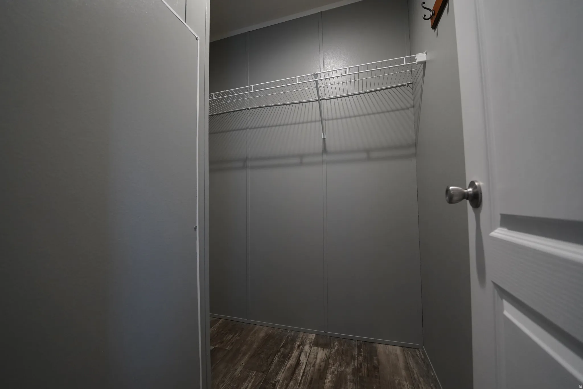 Primary Walk-in-Closet featuring wood-finish flooring, light gray wall panels, and an integrated wire shelving system