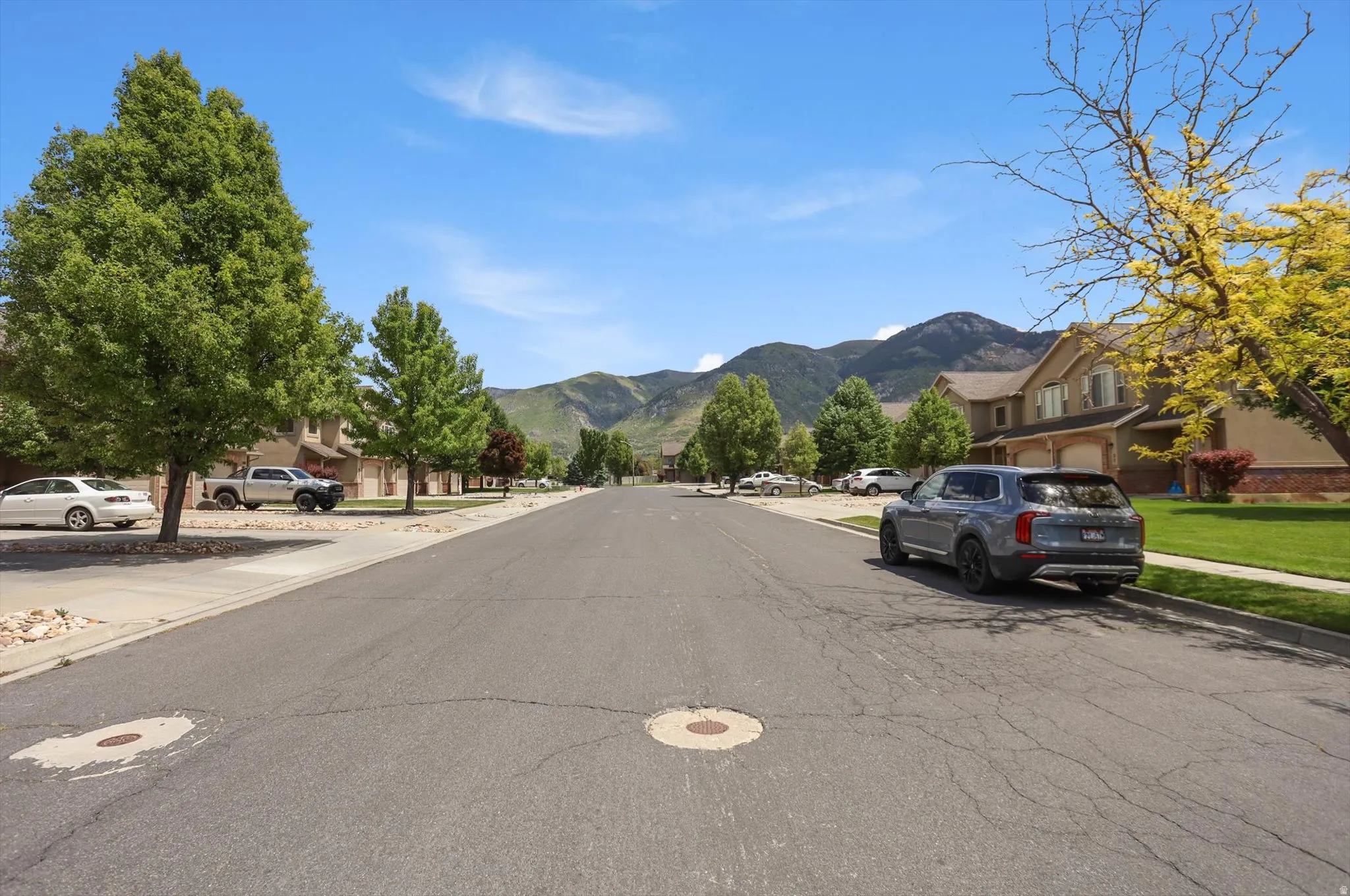 Residential street with mature trees and mountain backdrop
