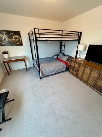 Neutral-toned room with light gray carpet flooring and white walls