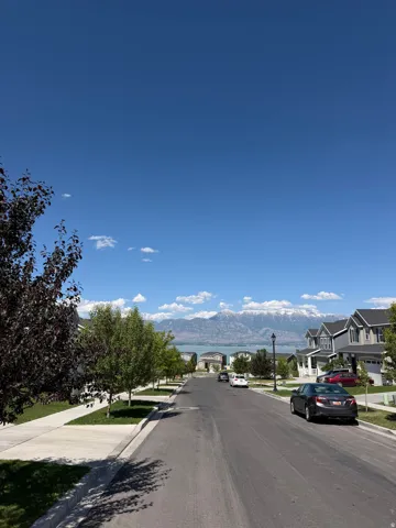 Residential street featuring sidewalks, street trees, and manicured lawns