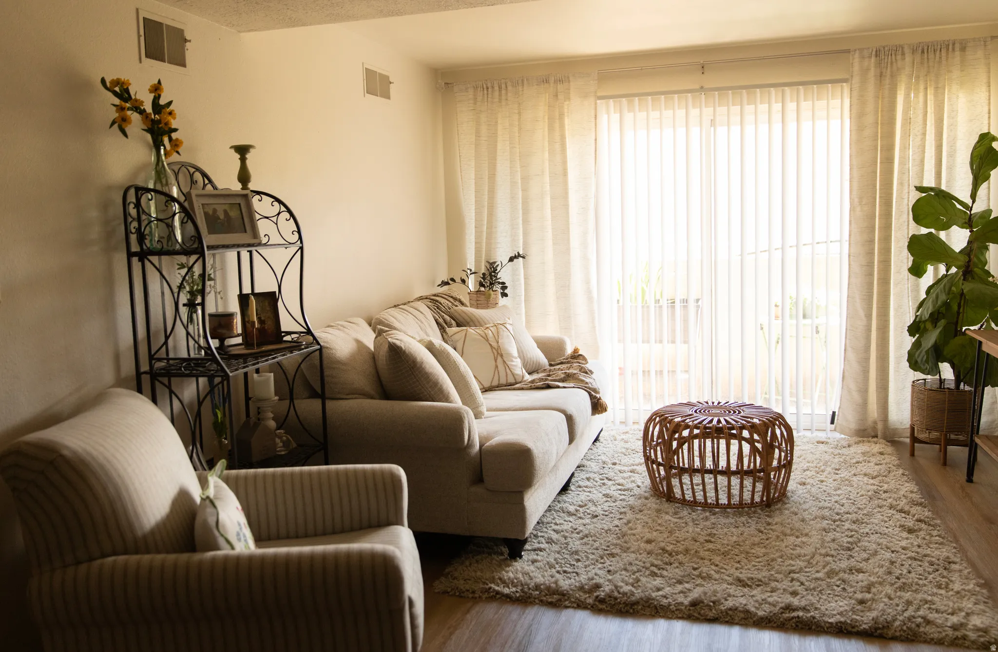 Bright living area featuring a large glass sliding door, wood-finish flooring, and a plush area rug