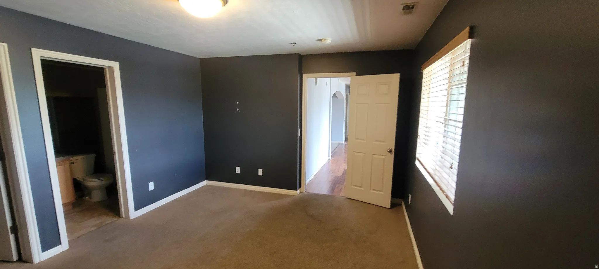 Spacious room featuring dark gray walls and light brown carpet