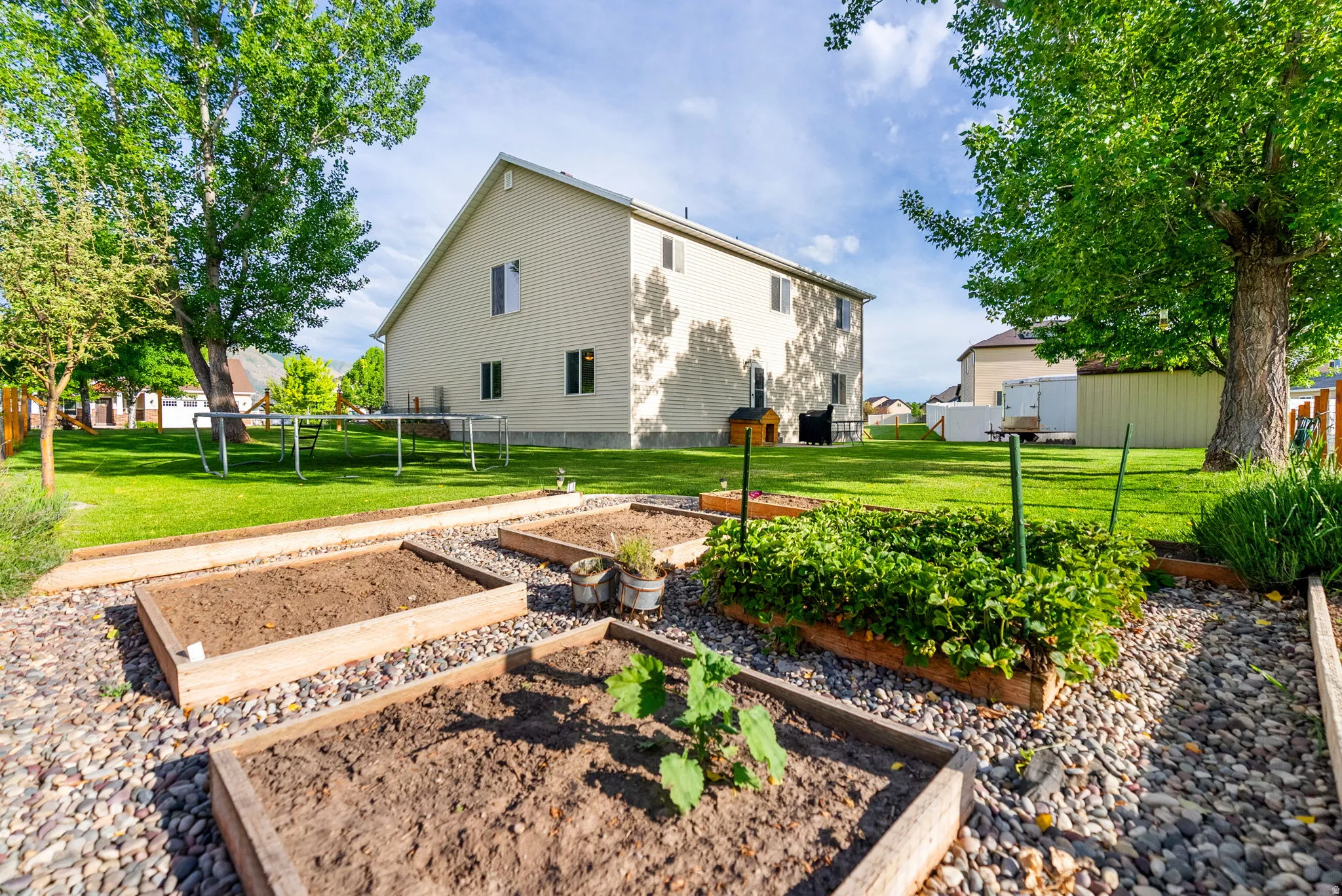 Expansive backyard featuring a manicured lawn, established trees, and multiple raised garden beds set within a gravel pathway