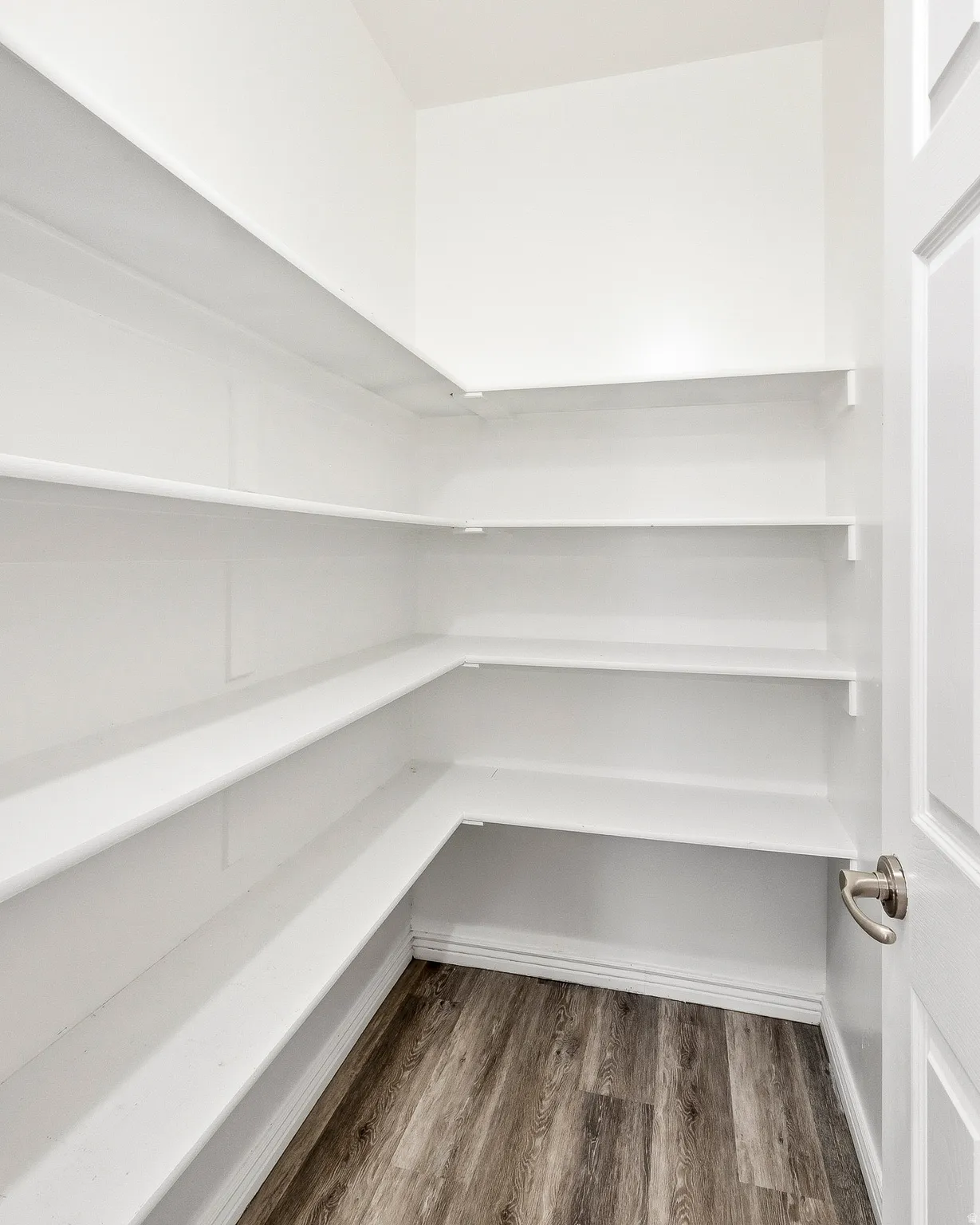 Walk-in pantry featuring extensive built-in white shelving, wood-finish flooring, and white trim
