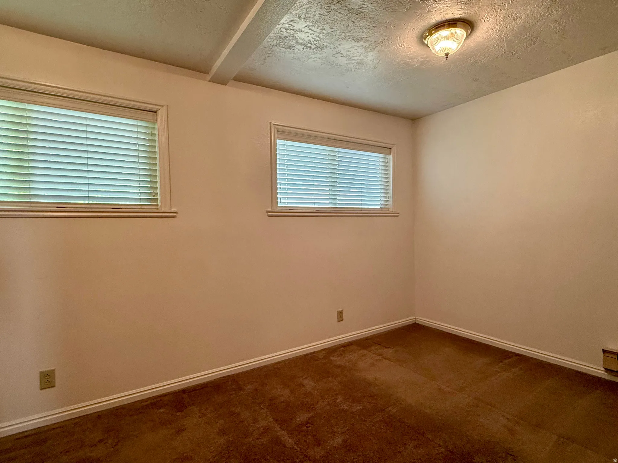 Carpeted room featuring two windows with blinds, white trim, and a ceiling-mounted light fixture