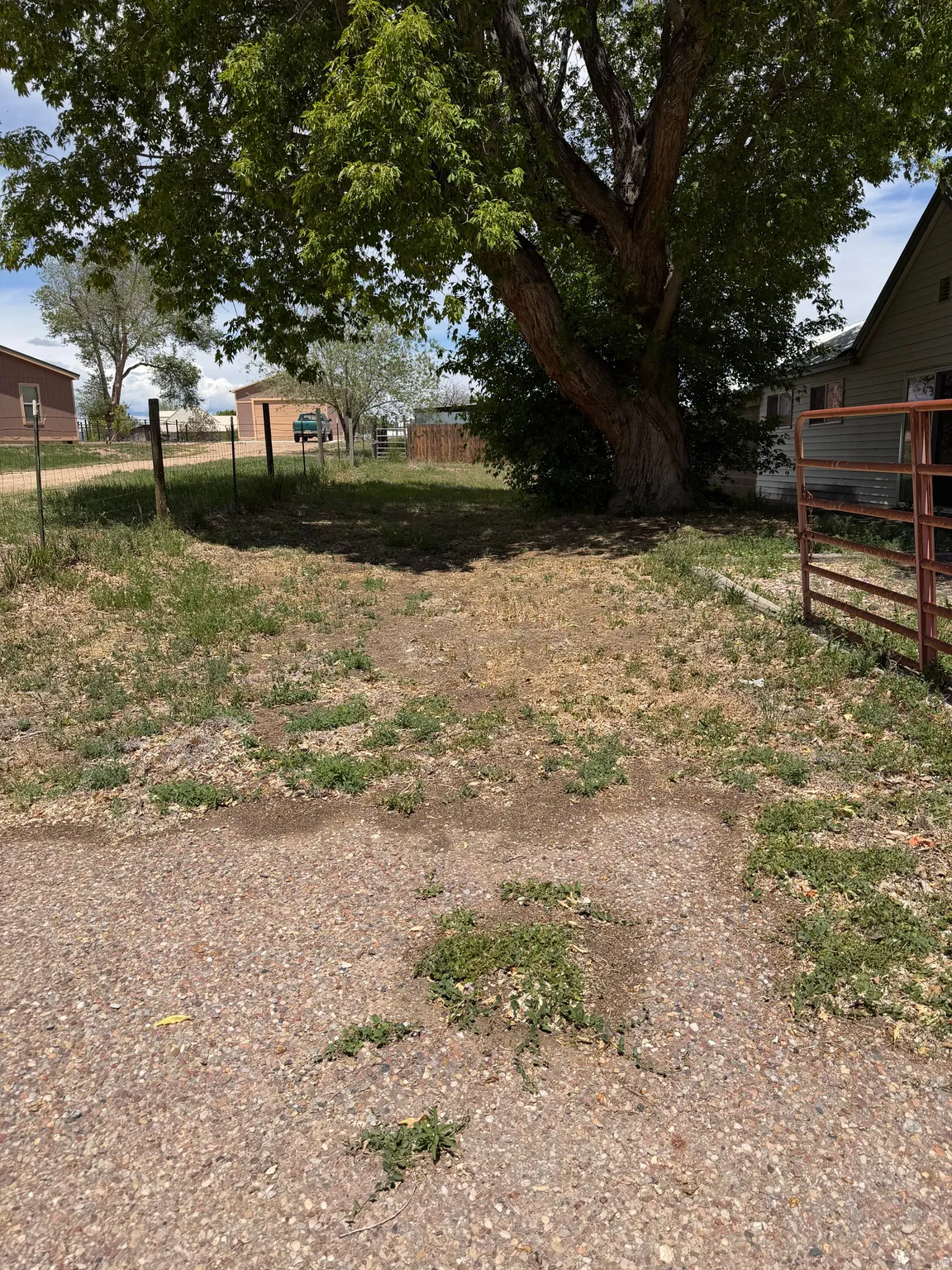 Expansive outdoor area featuring a large, mature shade tree, gravel and grass ground cover, and a metal gate