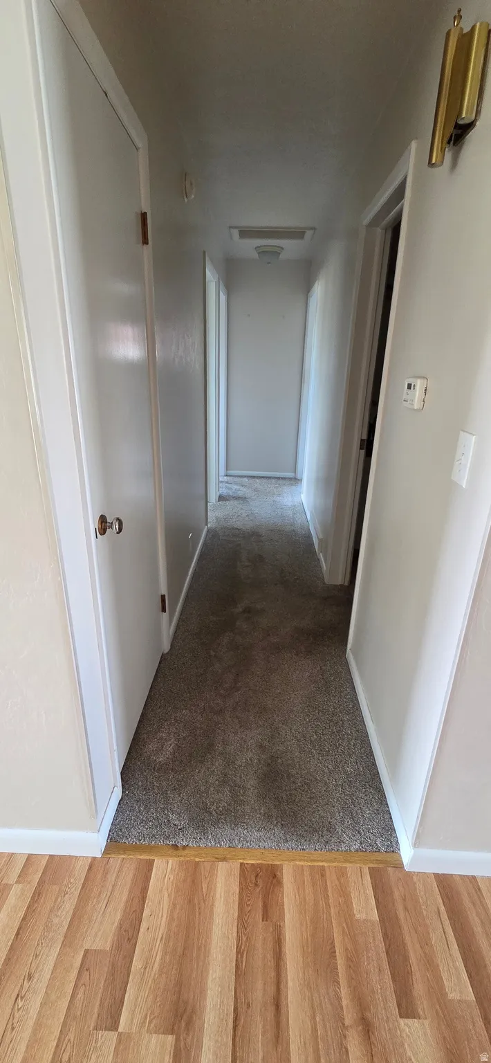 Hallway featuring carpeted flooring and white trim
