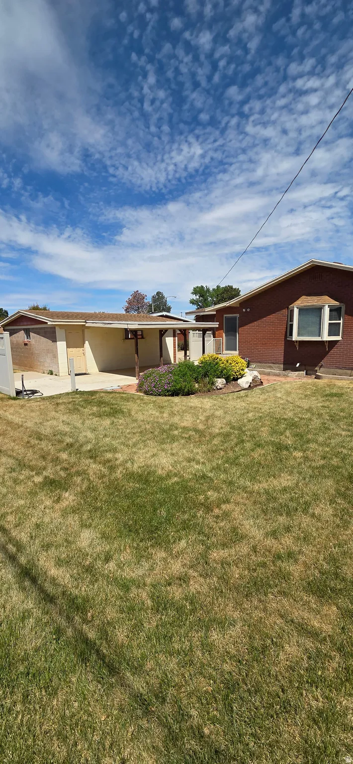 Expansive green lawn with a mature shrub and rock landscaping feature