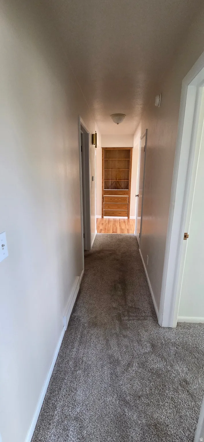Hallway with carpet flooring, light neutral wall paint, and white trim