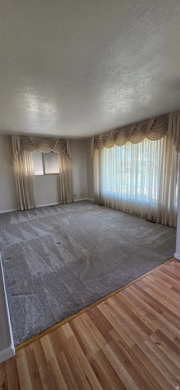 Carpeted living area with light walls and multiple windows