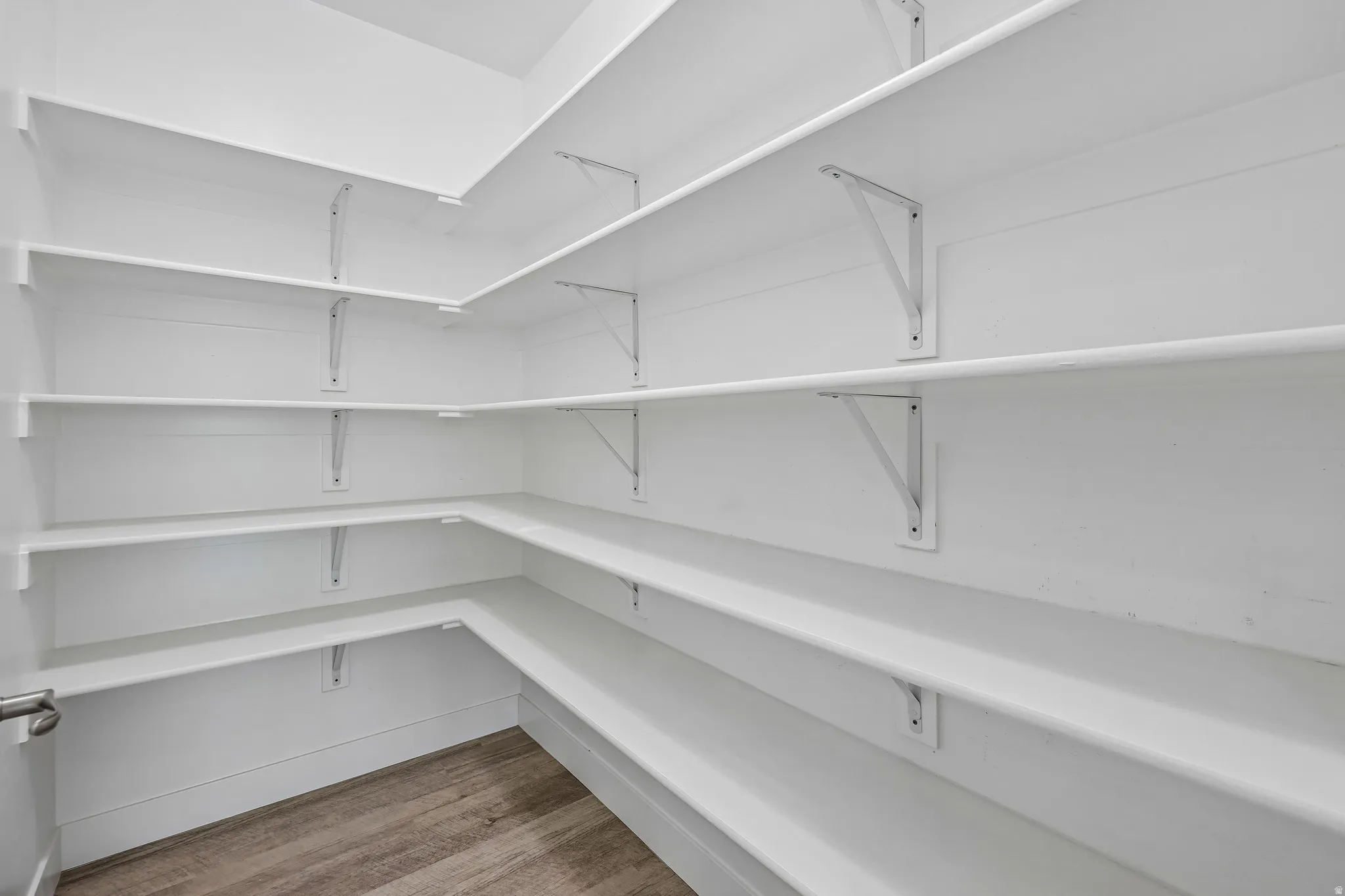 Walk-in pantry featuring extensive white shelving and wood-finish flooring